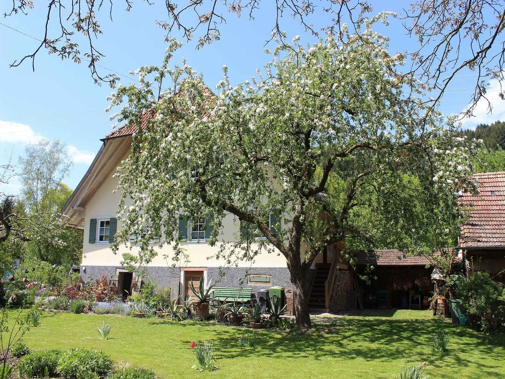 Haus Am Bach Apartment Steinach  Exterior photo