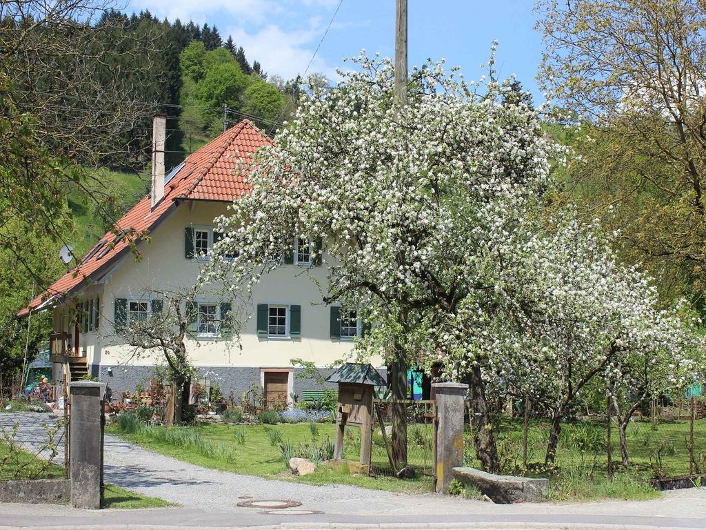 Haus Am Bach Apartment Steinach  Exterior photo